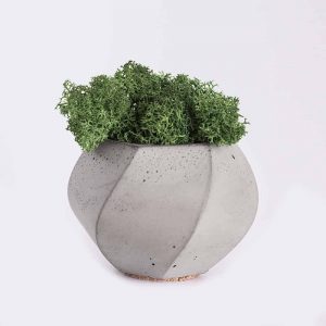 Acceuil plant4 free img