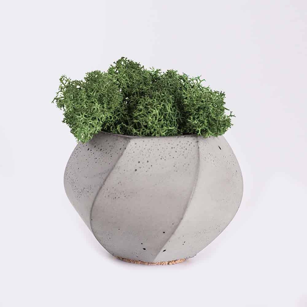 Acceuil Plant4 Free Img